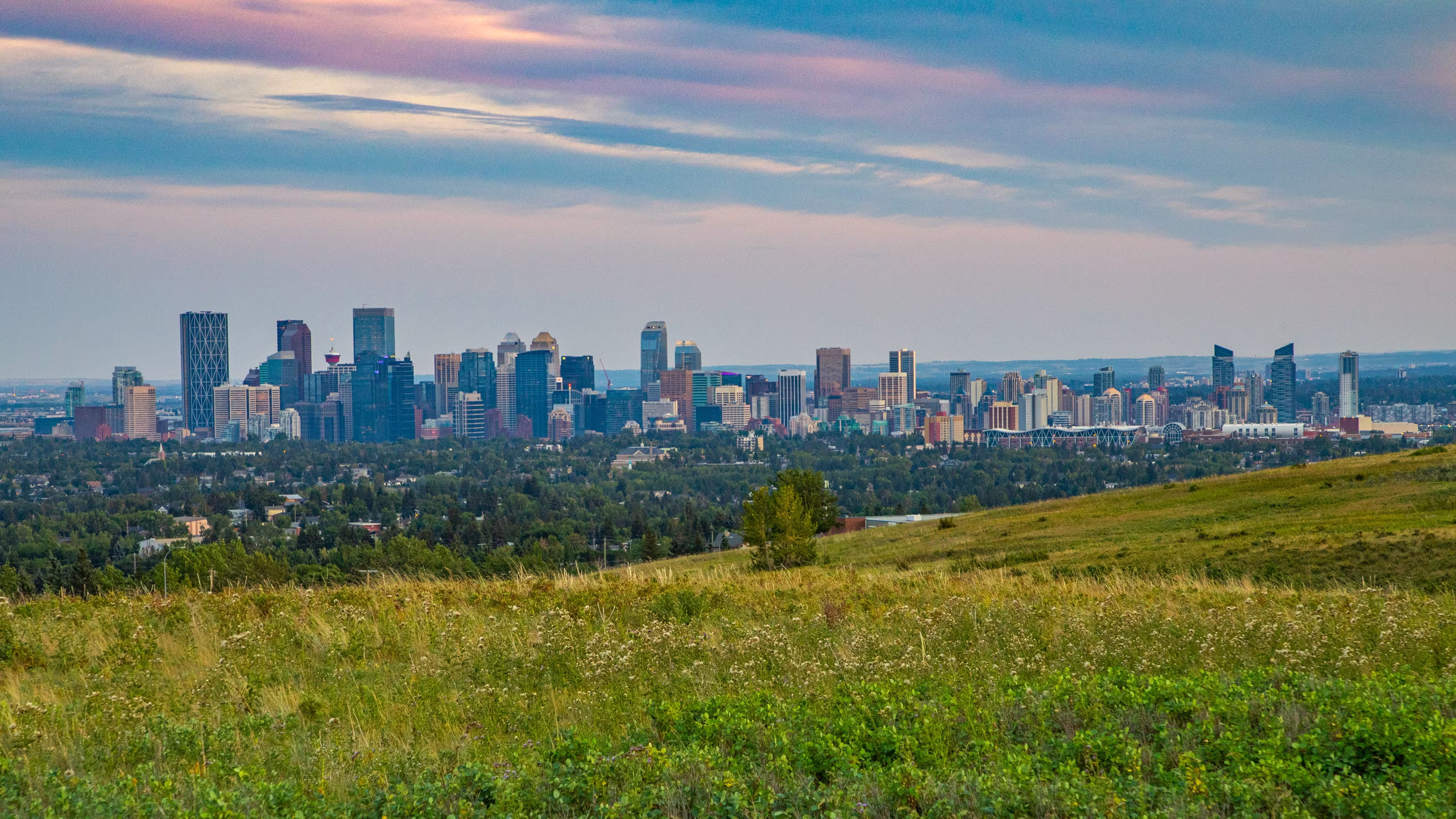 516213-nose-hill-park 516213-nose-hill-park