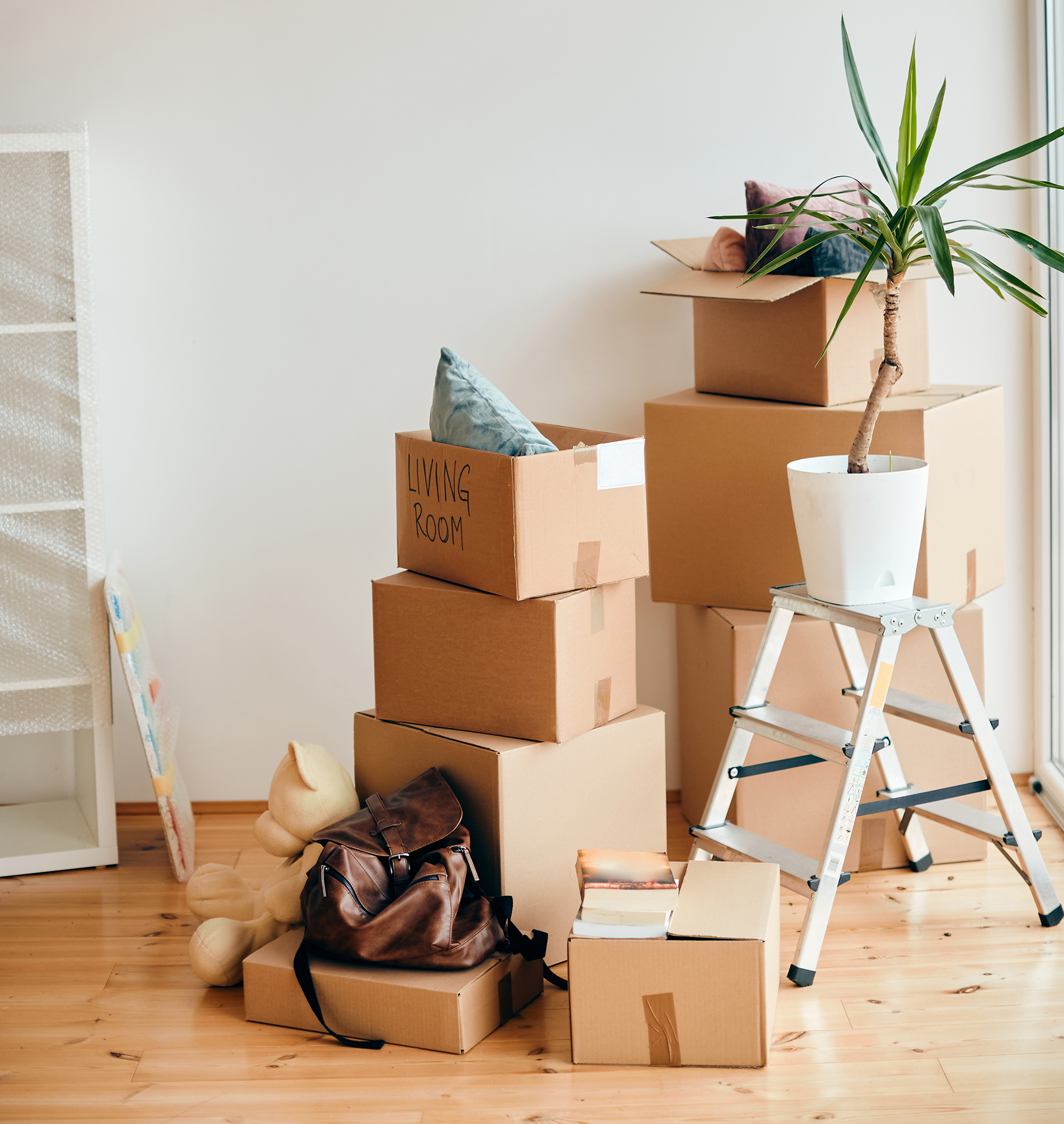Potted plant and carton boxes with belongings in a new home.